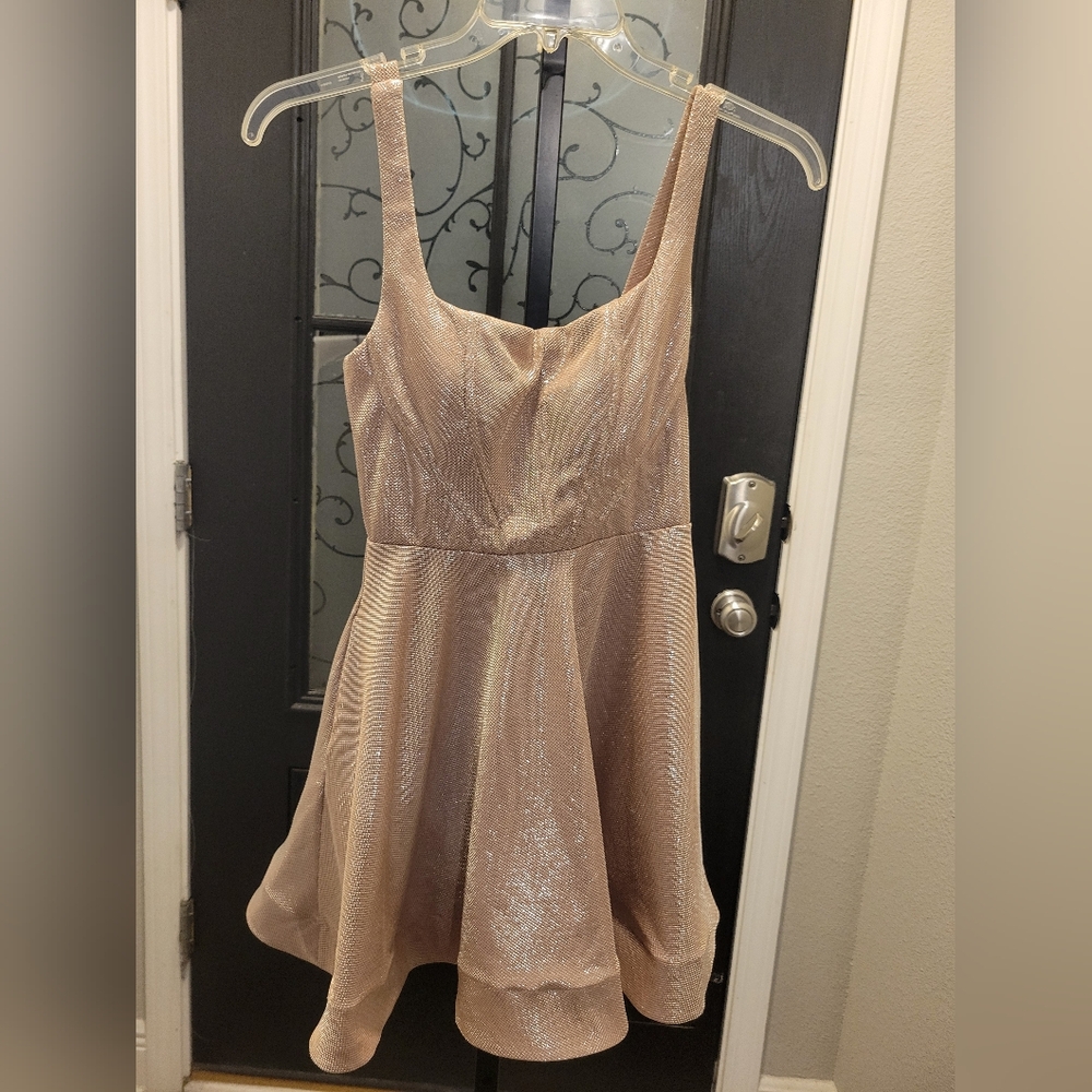 Shimmering Blush Pink Dress - Picture 2 of 3